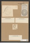 Campylodiscus latus var. superbus Eul. (de-Toni-Nr.: Genus 57, Species 2460) Zeichnungen Sammlung Grunow Nr. 4959 (NHMW-BOT-W0373181)